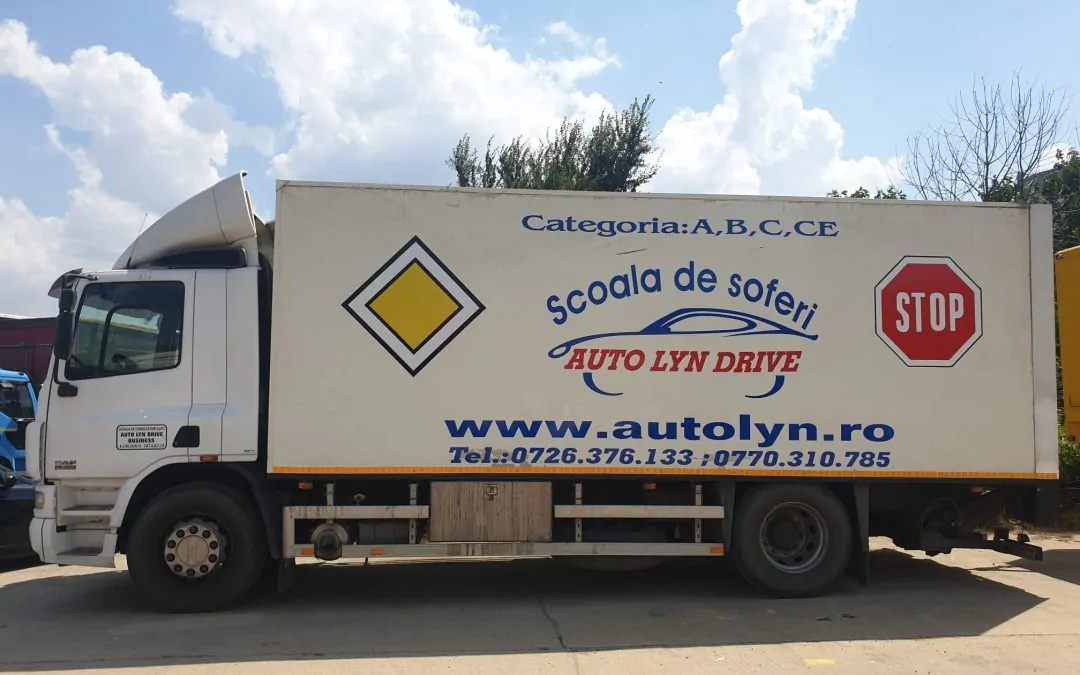 Camion DAF Manual